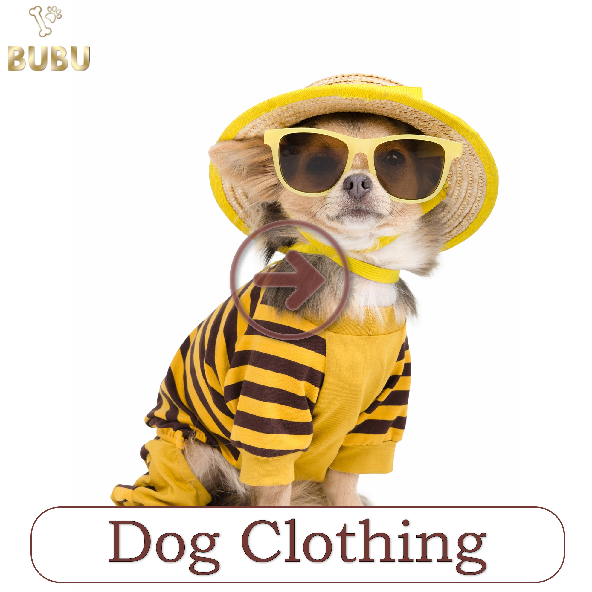 dog clothing