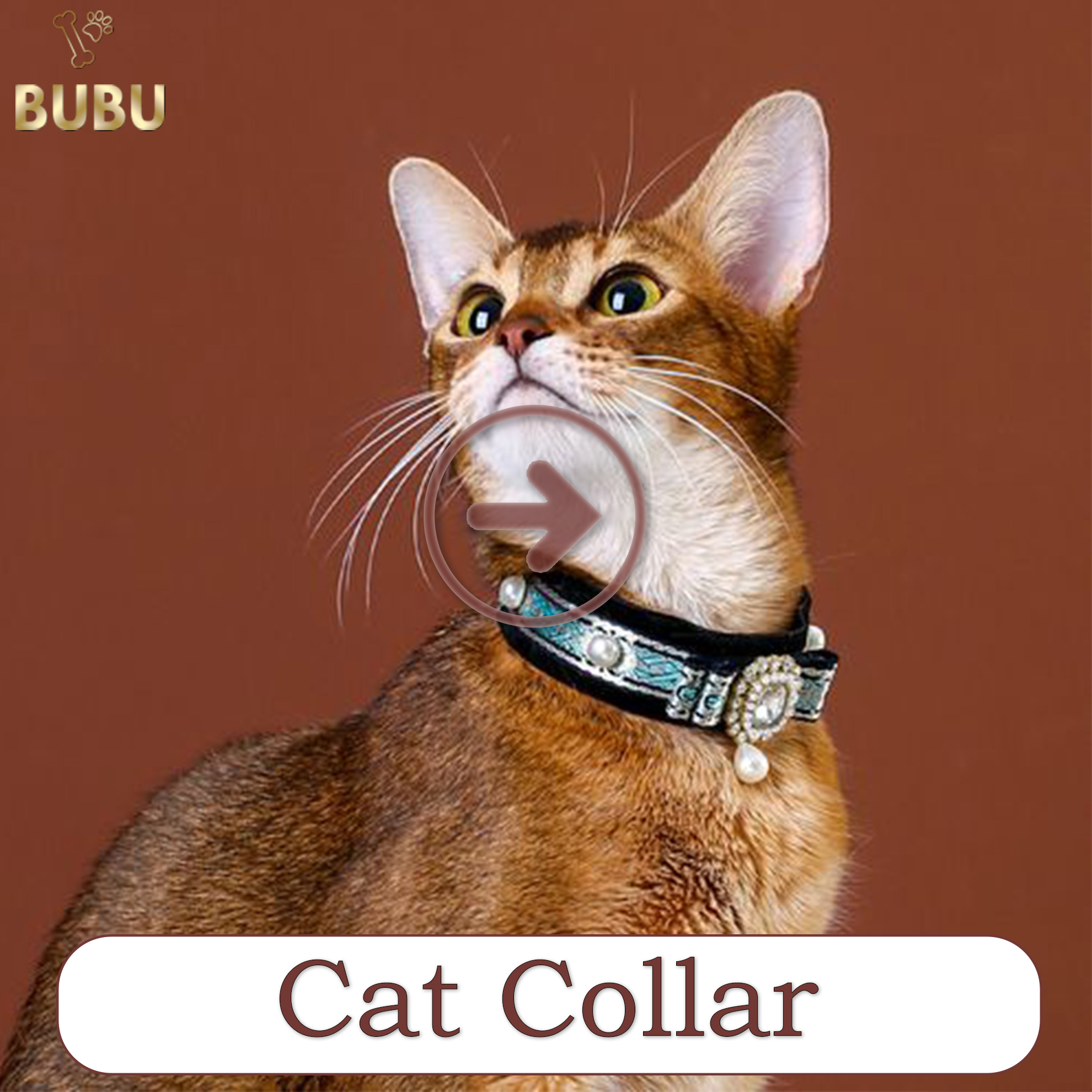 cat collar