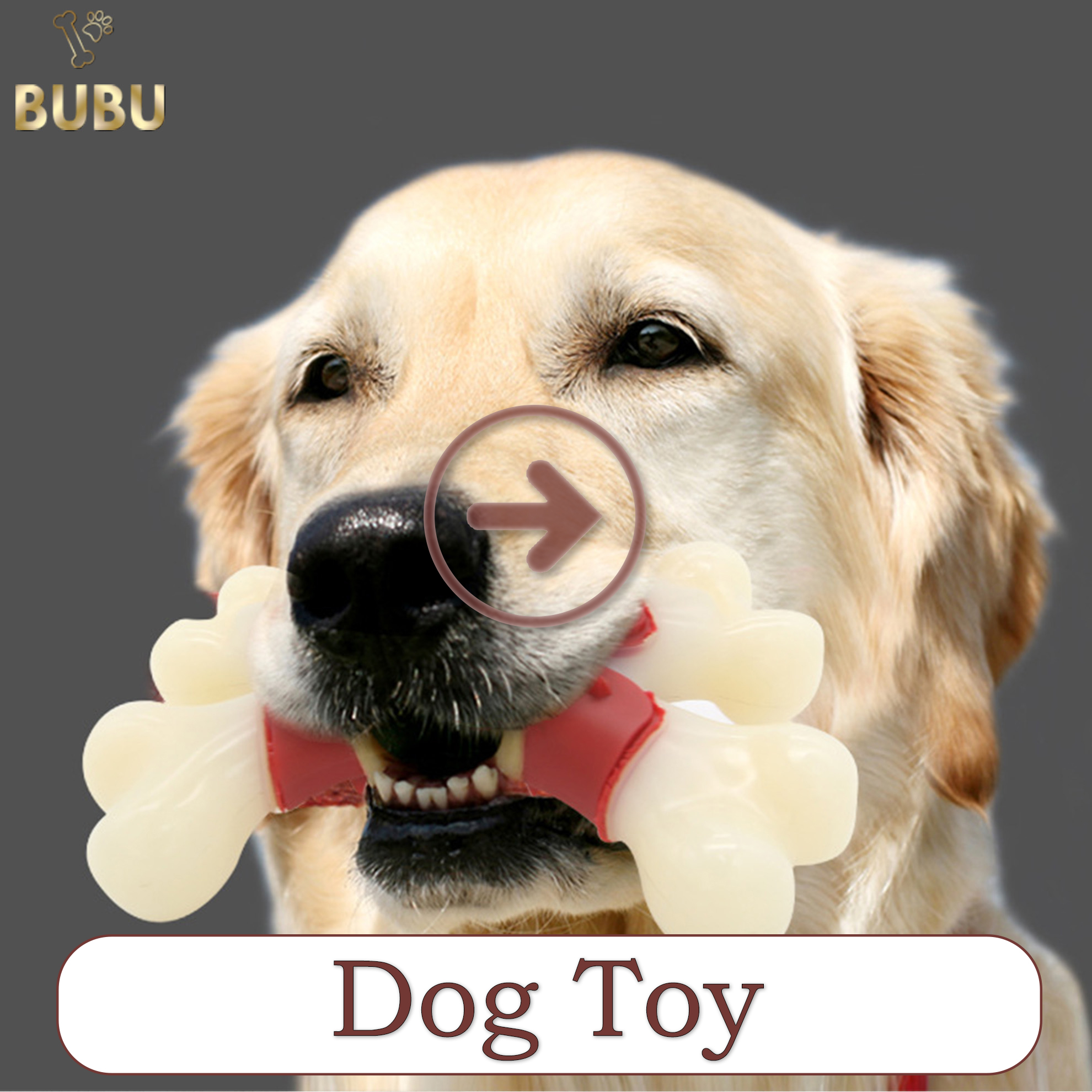 dog toy